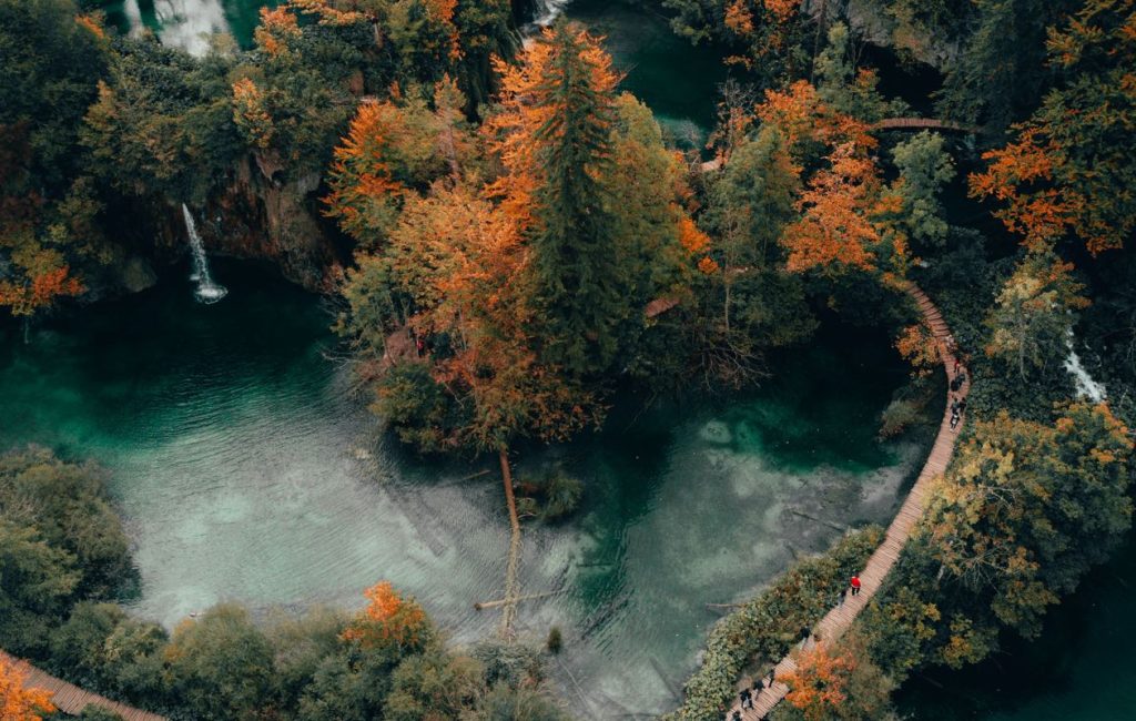 Peter Jan Rijpkema WI6o8OwUwdw Unsplash 1024x650